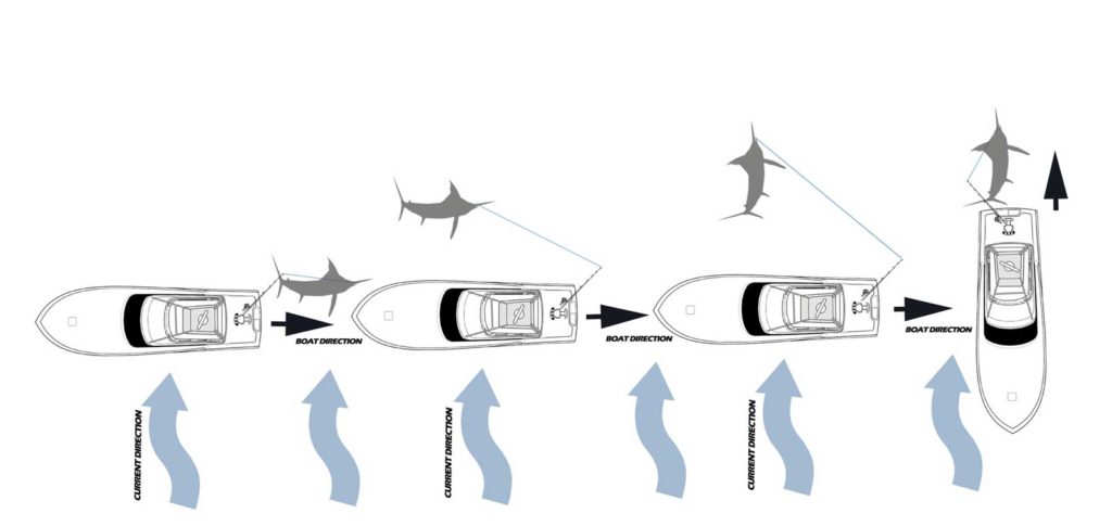 saltwater boat trolling pattern to catch stubborn marlin