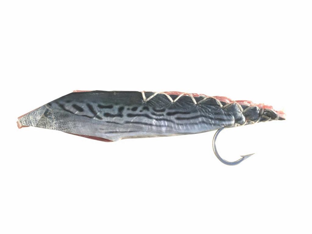 strip bait for swordfish
