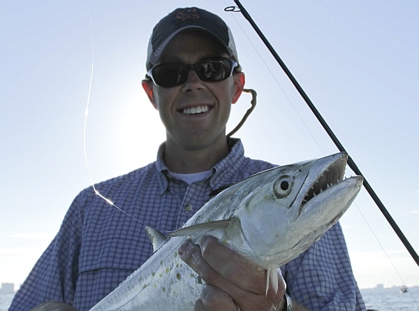 toothy Spanish Mackerel