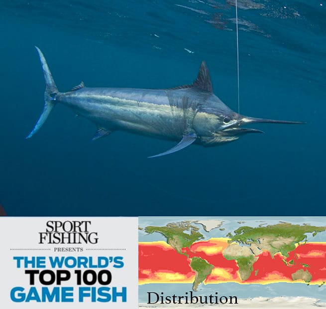 The World's Top 100 Saltwater Game Fish