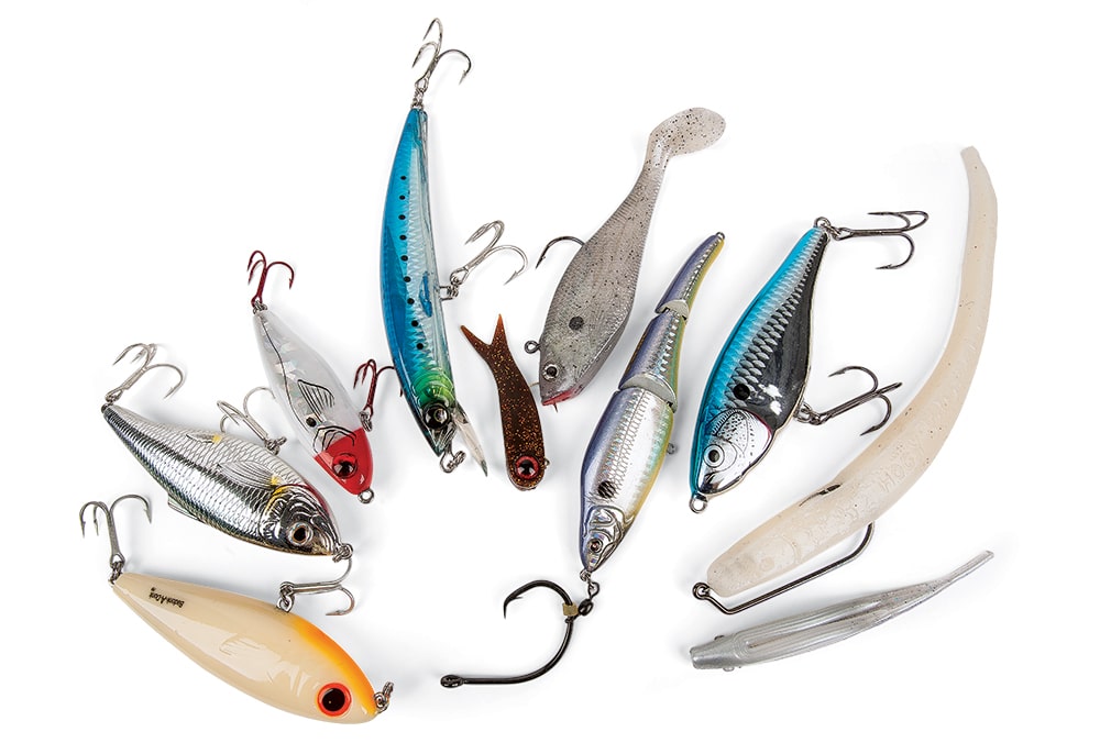 10 Best Tarpon Lures, Bait for Tarpon