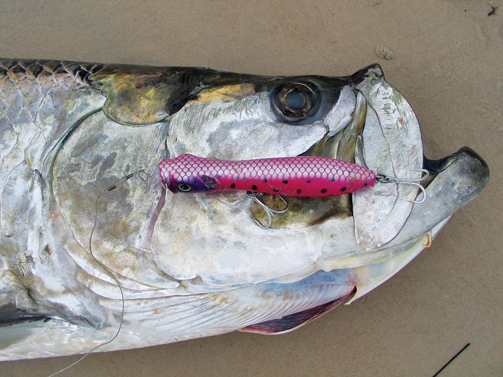 Tarpon fish hooked on a fishing lure caught while deep sea fishing