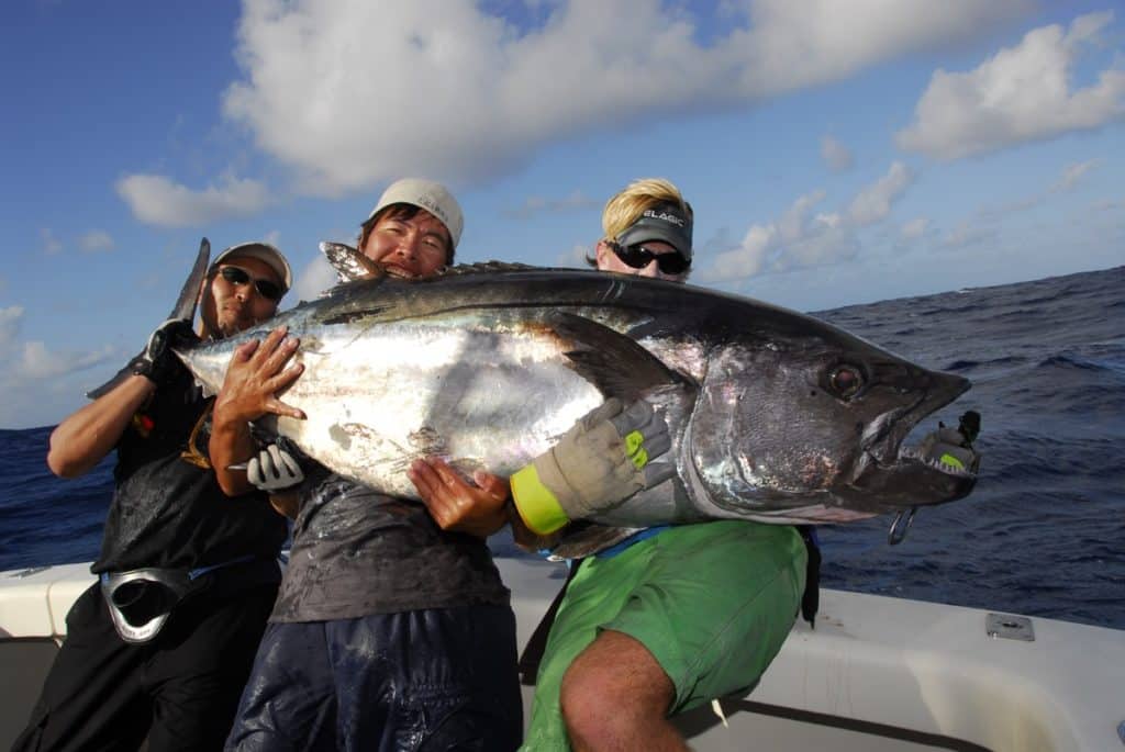 torres strait, photo courtesy capt. damon olsen - nomad sportfishing _nom0075-1 copy resized.jpg