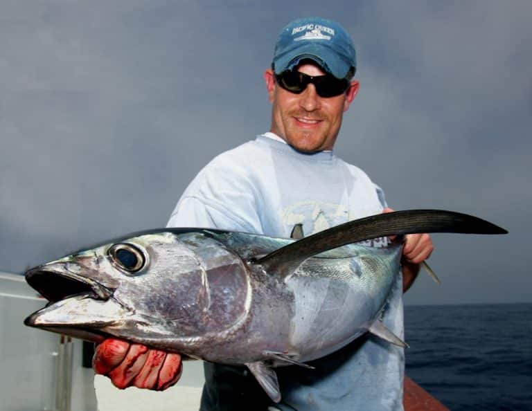 Albacore are called longfin tuna with good reason