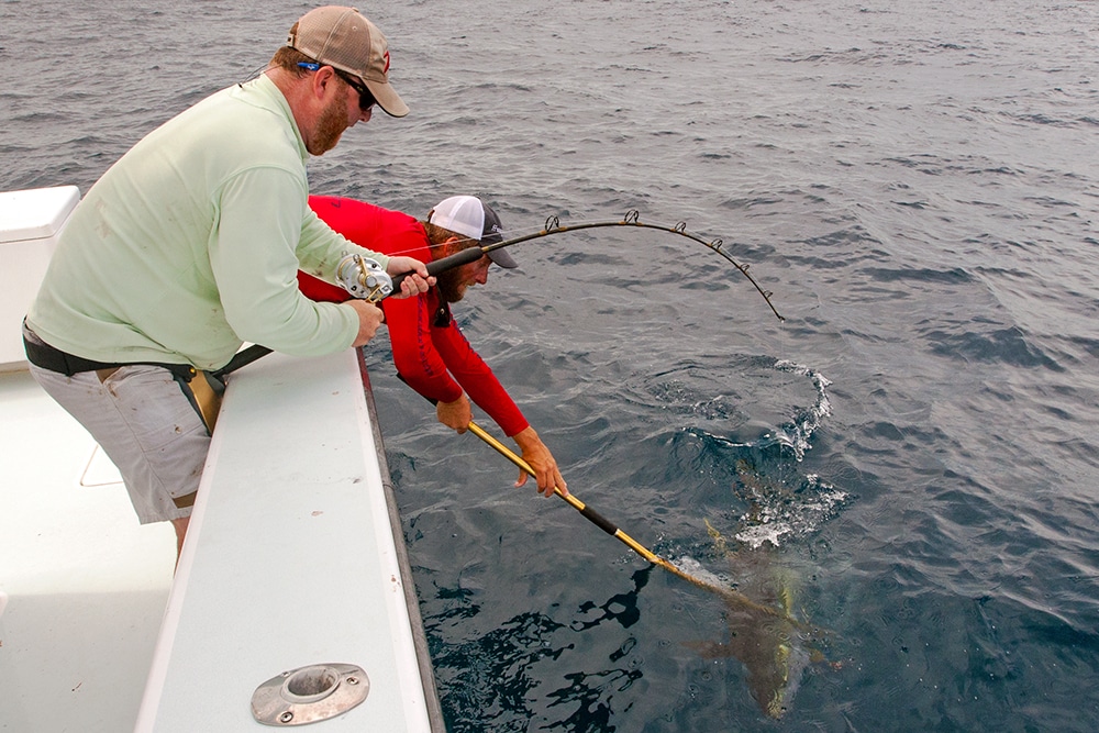 tuna-boatside.jpg