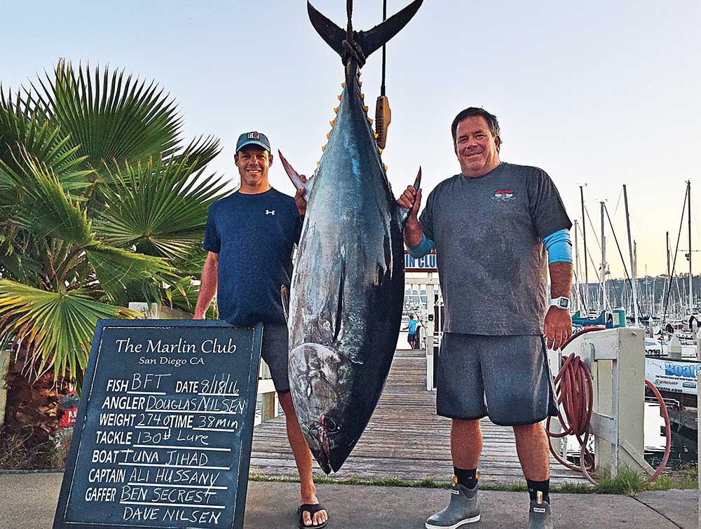 bluefin tuna hanging at docks