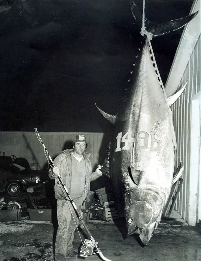 tuna, bluefin.jpg