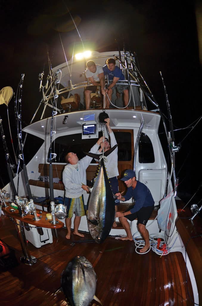 Two Bigeye Tuna on Deck