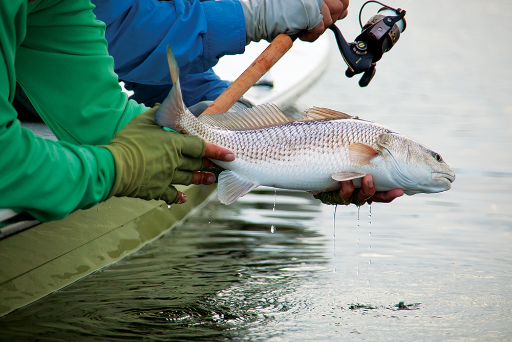 Flats Fishing With Ultralight Tackle