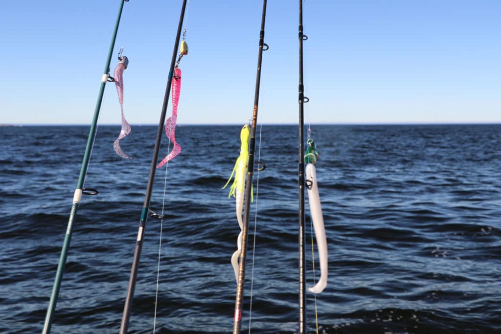 A selection of lead-head jigs and Z-man plastic tails