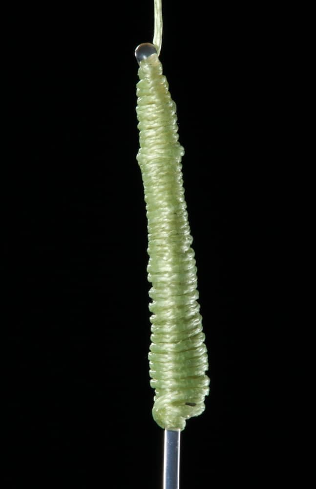 A Stellwagen wrap knot connecting braided fishing line to leader
