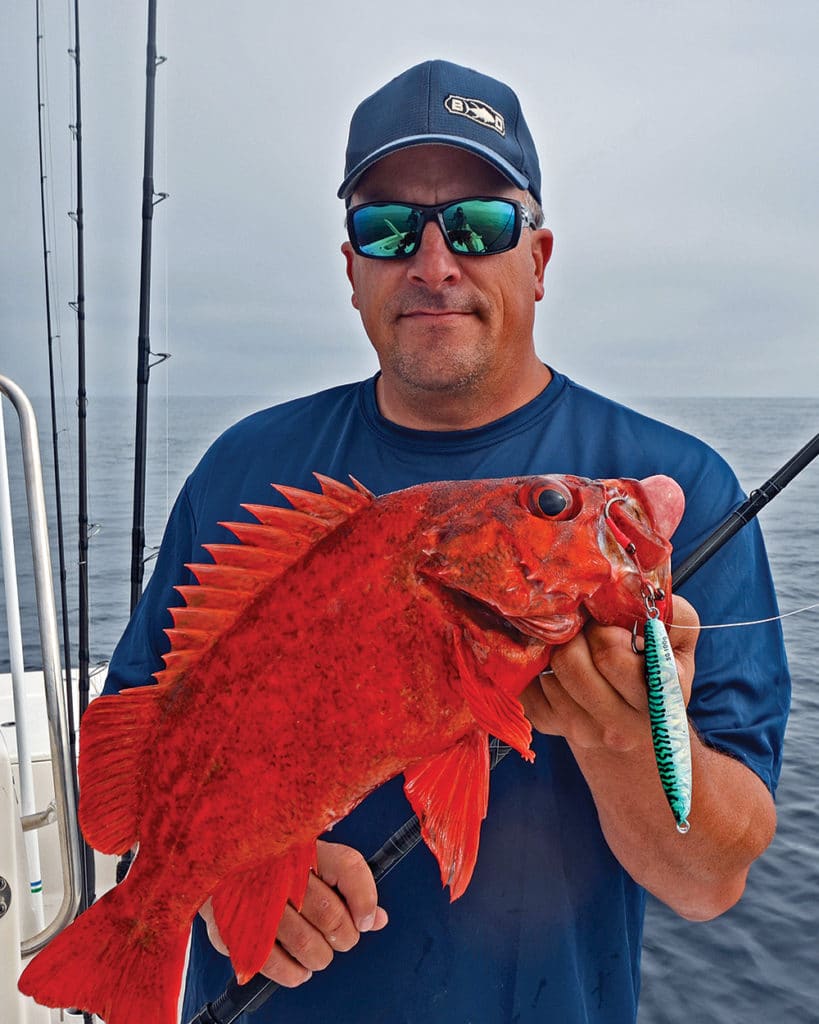 vermillion rockfish