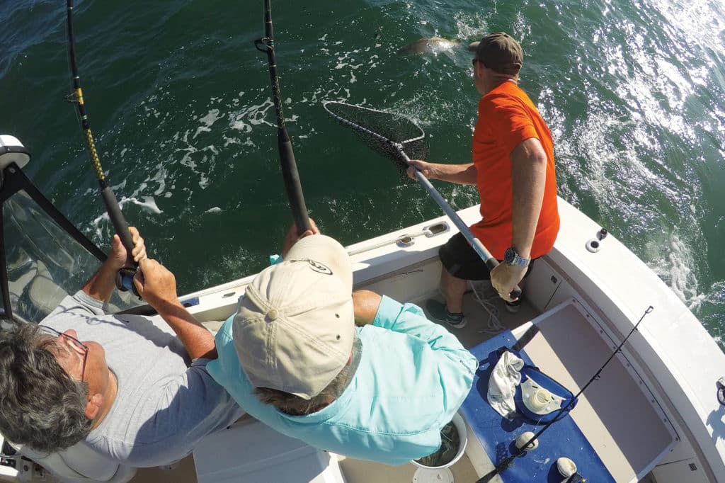 Netting redfish Chesapeake fishing Virginia Beach