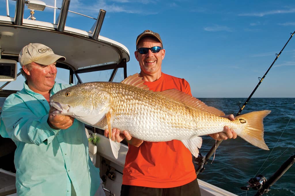 bull red drum Chesapeake fishing Virginia Beach