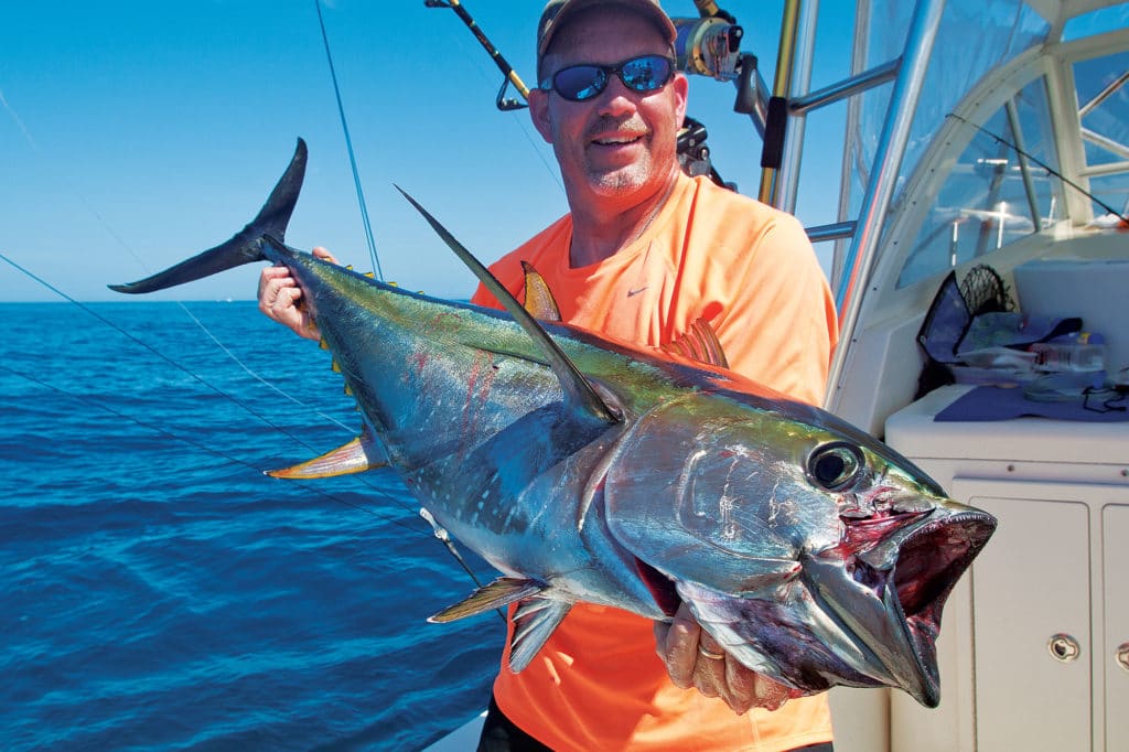 yellowfin tuna offshore fishing Virginia Beach