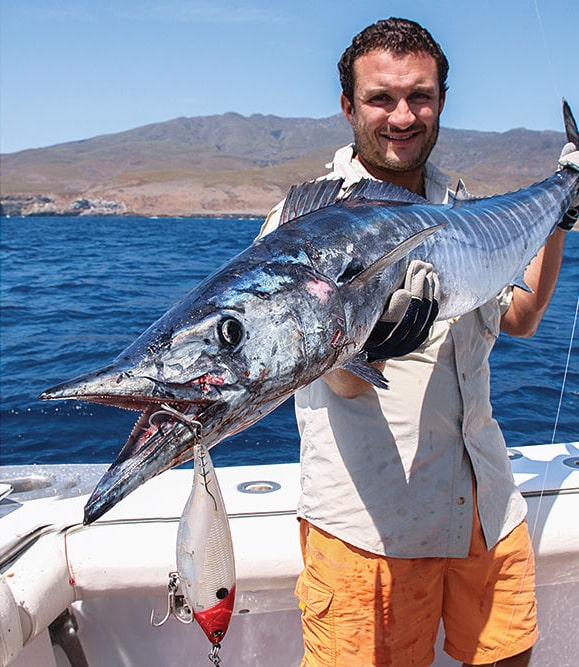 wahoo caught using slow trolling lure fishing technique