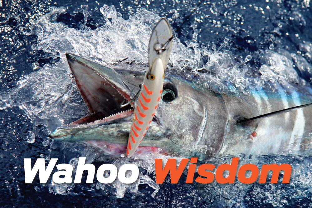 Wahoo fish caught fishing Rapala Magnum CountDown high speed trolling