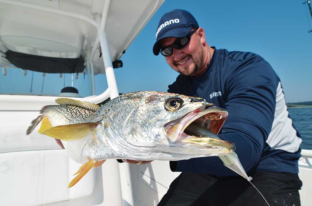 fishing for weakfish