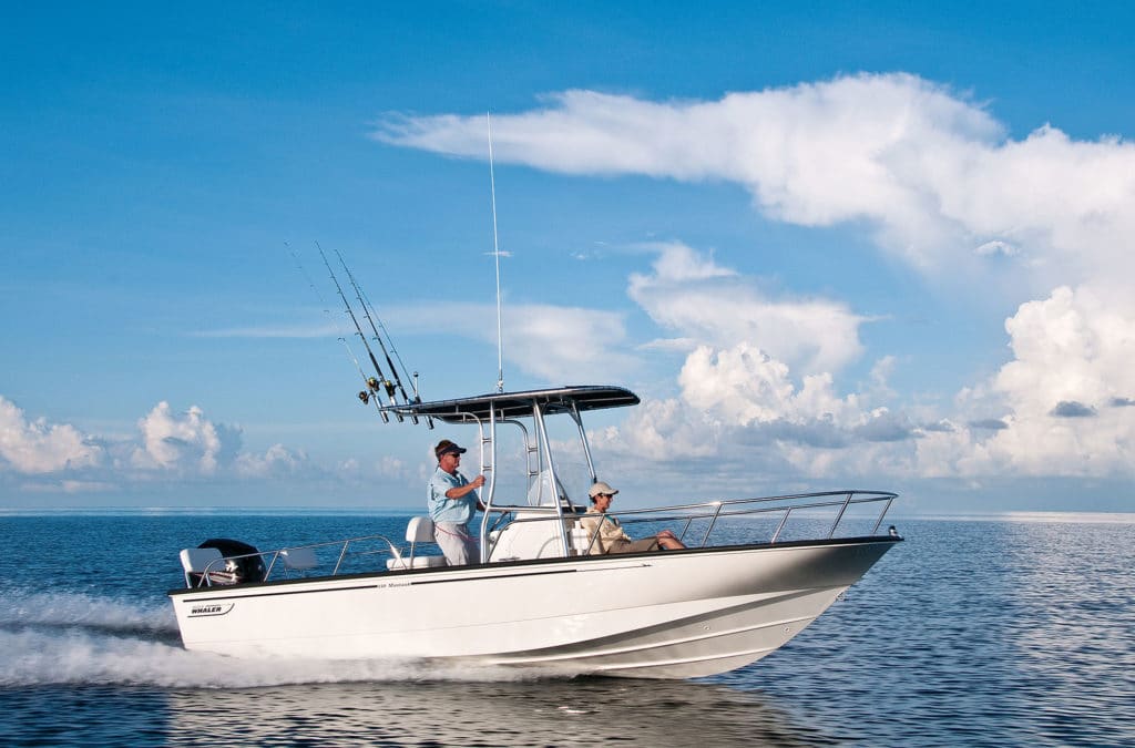 Boston Whaler 210 Montauk