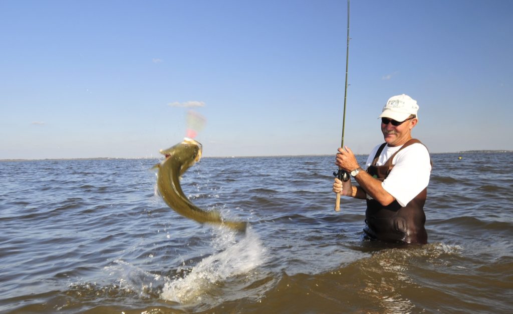 Fisherman wadefishing in Texas hooked up to a fish jumping