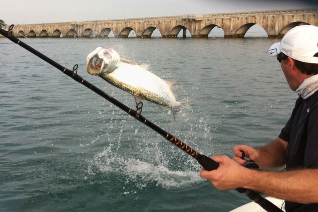 Florida Keys Fishing to be Part of World Fishing Day