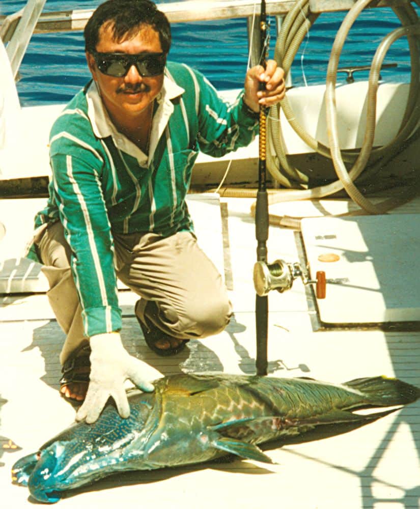 World-record humphead maori wrasse