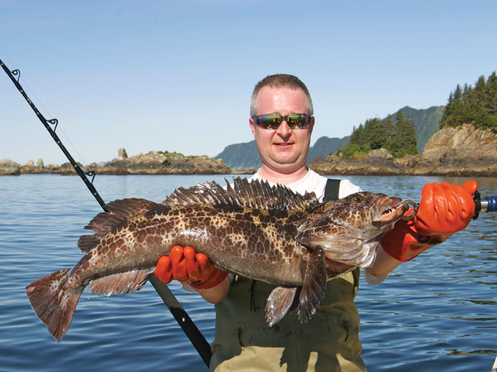 Angler holding lingcod fish