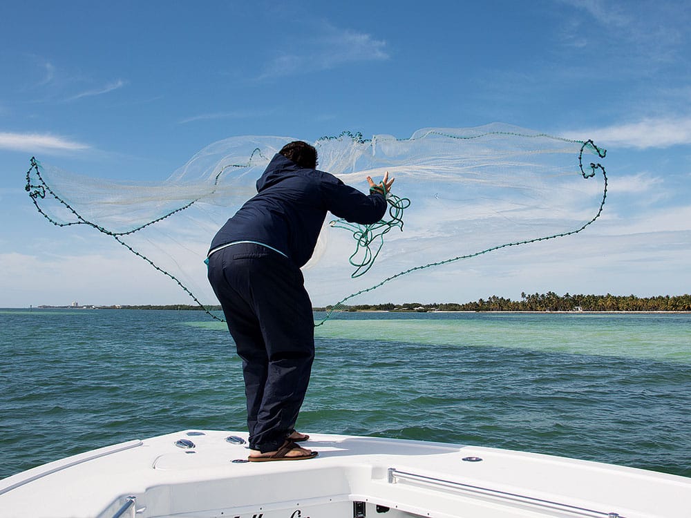 Yellowfin 36 Offshore stern