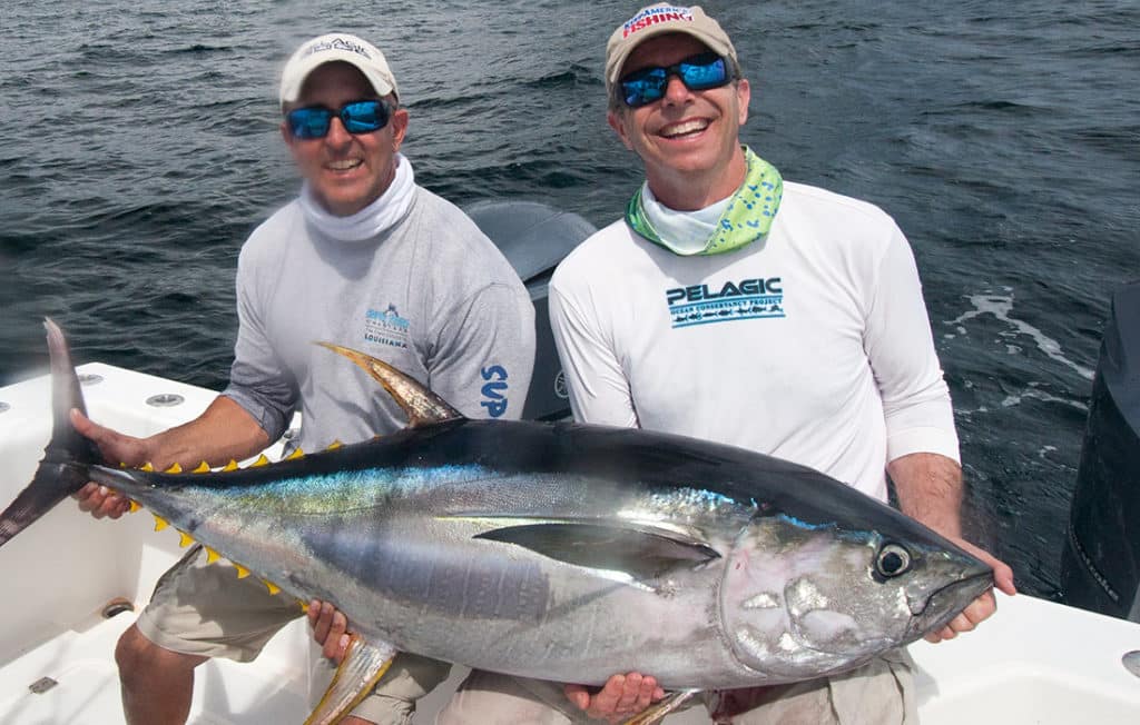 yellowfin tuna catch