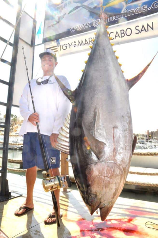 The world-record yellowfin tuna