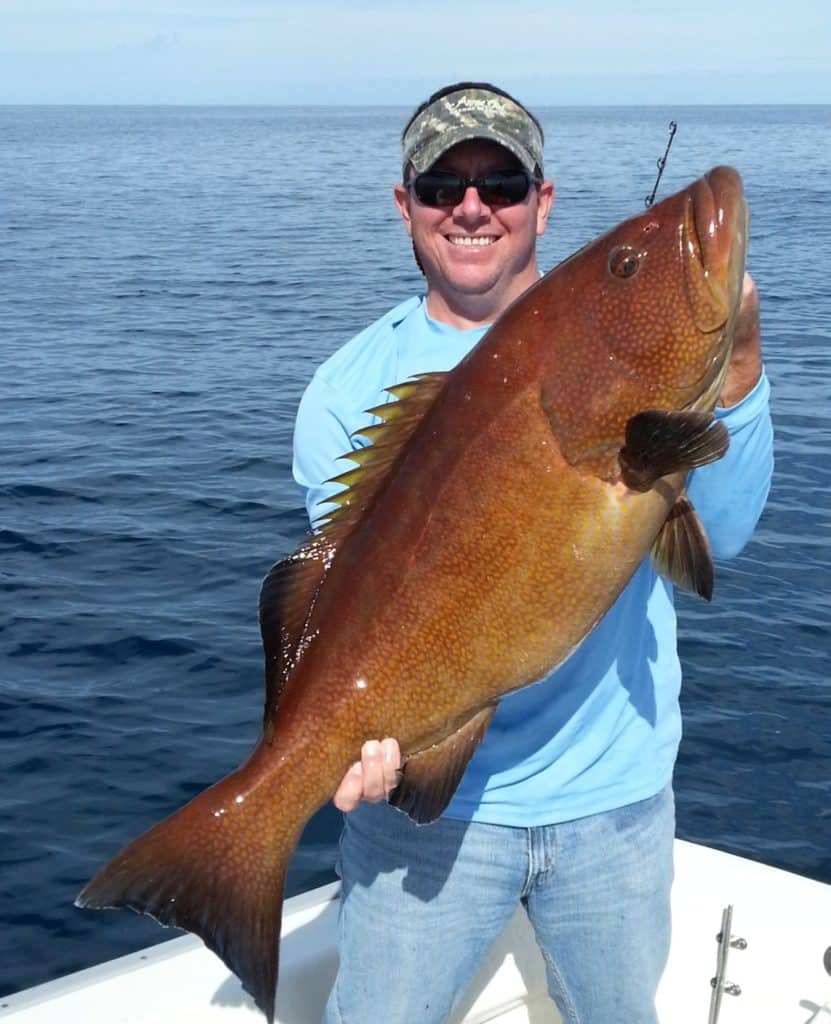 Strange Fishes from the Deep - Yellowmouth Grouper