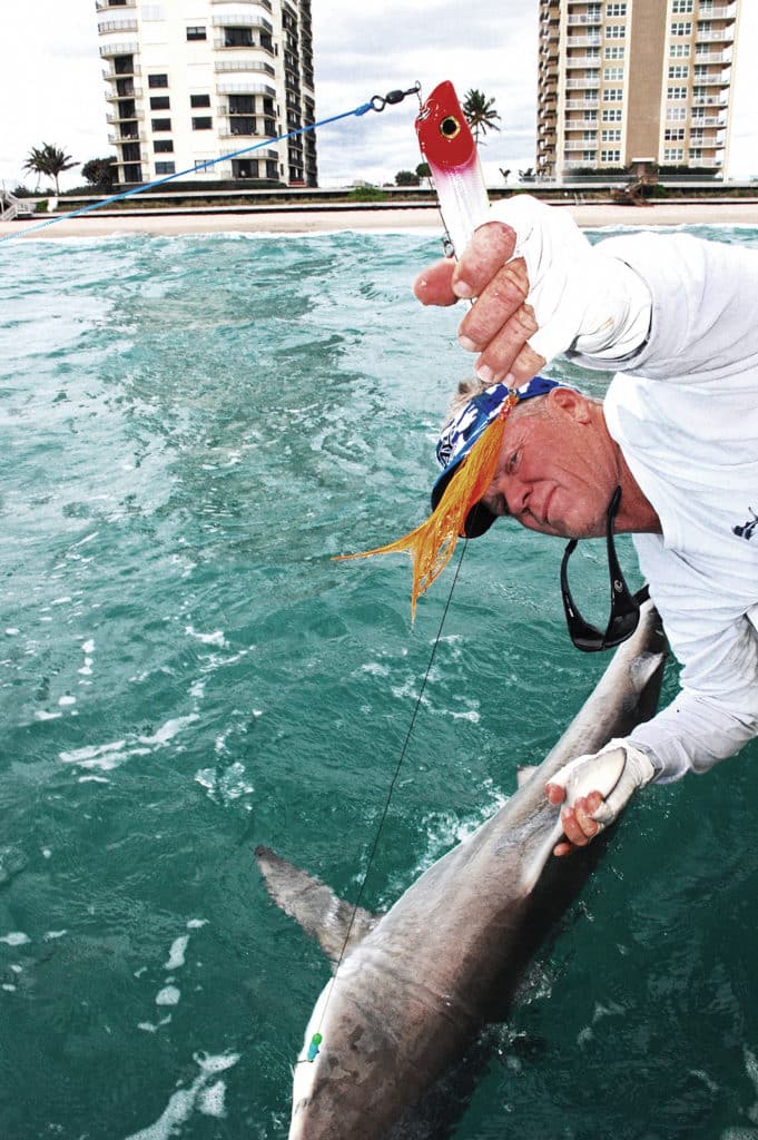 shark release