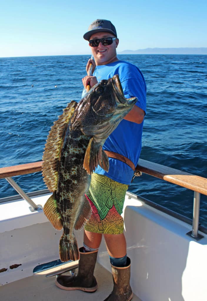 Large lingcod caught in California