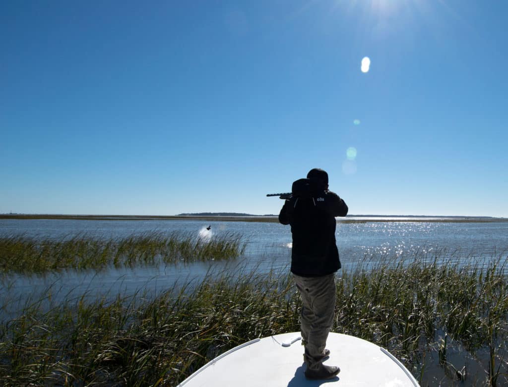 Shooting marsh hens