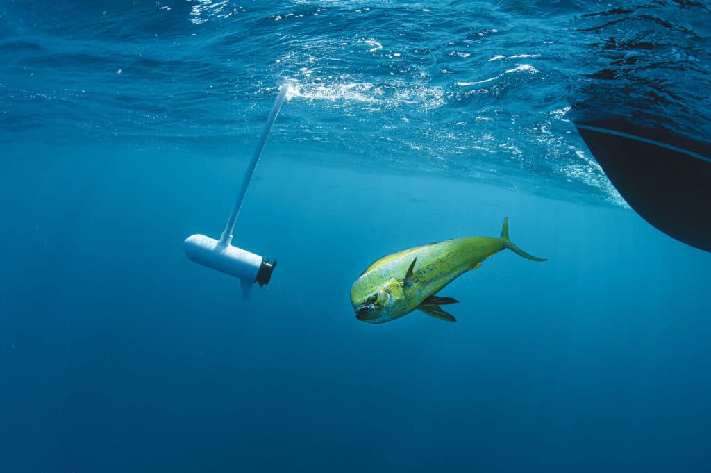 Using a trolling motor offshore