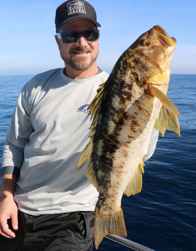 Angler Holds up Calico Bass