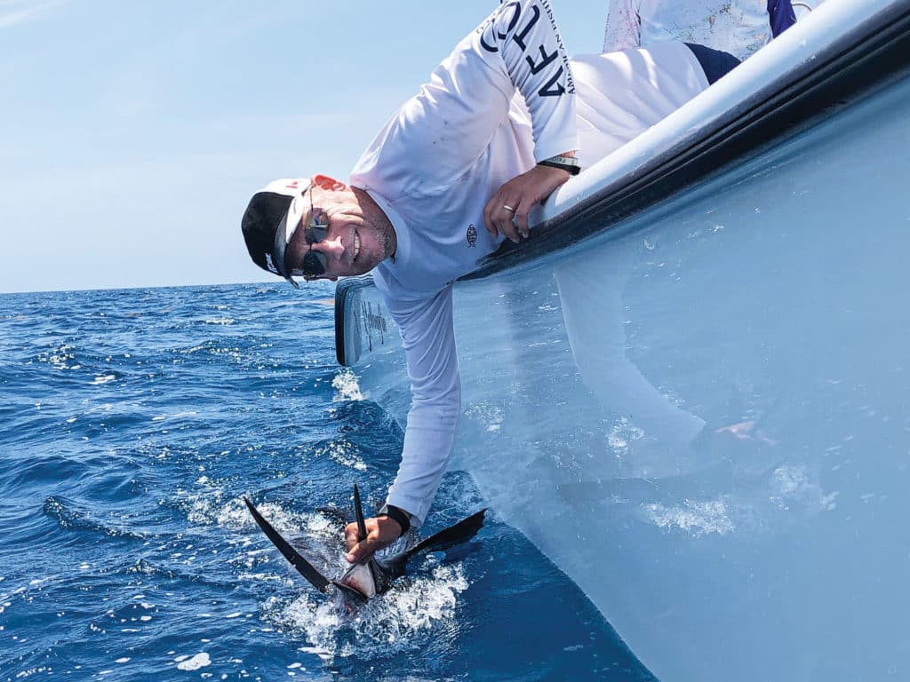 Angler releasing sailfish