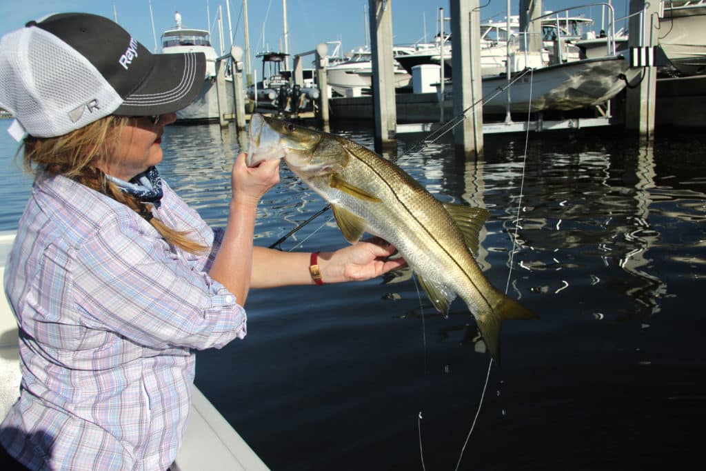Snook caught in a marina