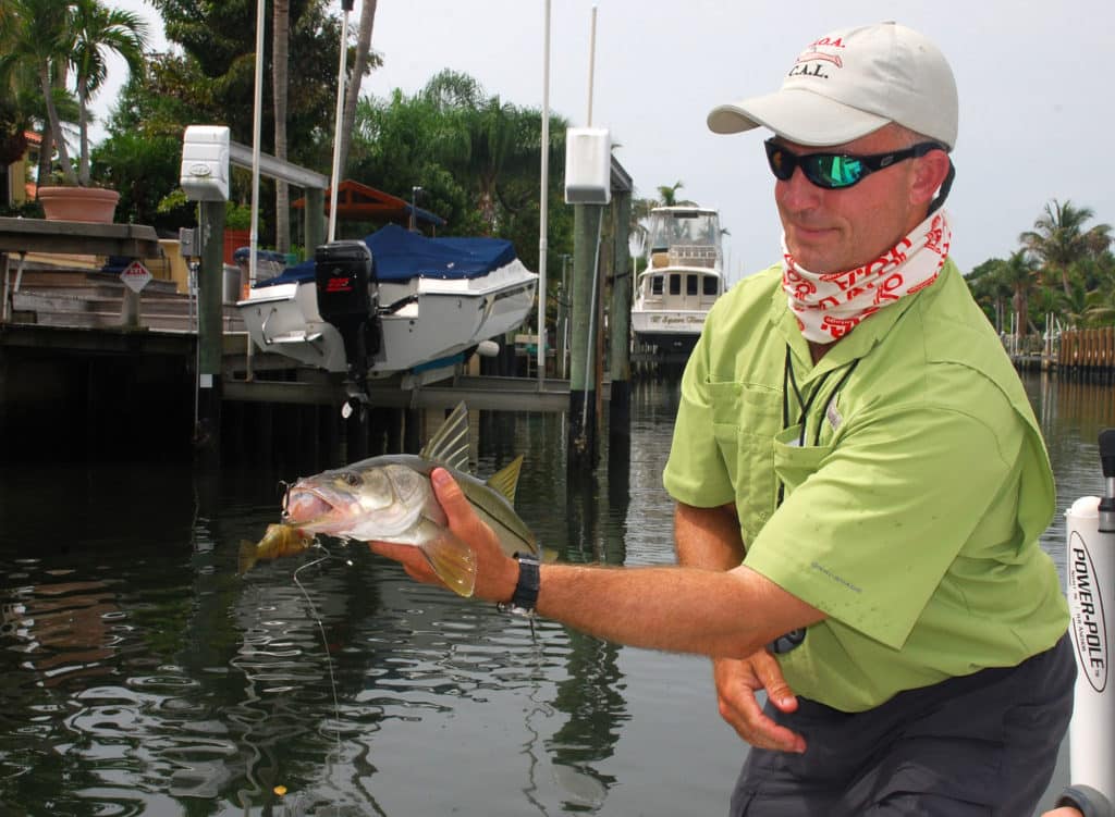 Snook caught on a lure