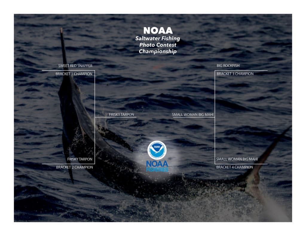 NOAA Contest Bracket Championship