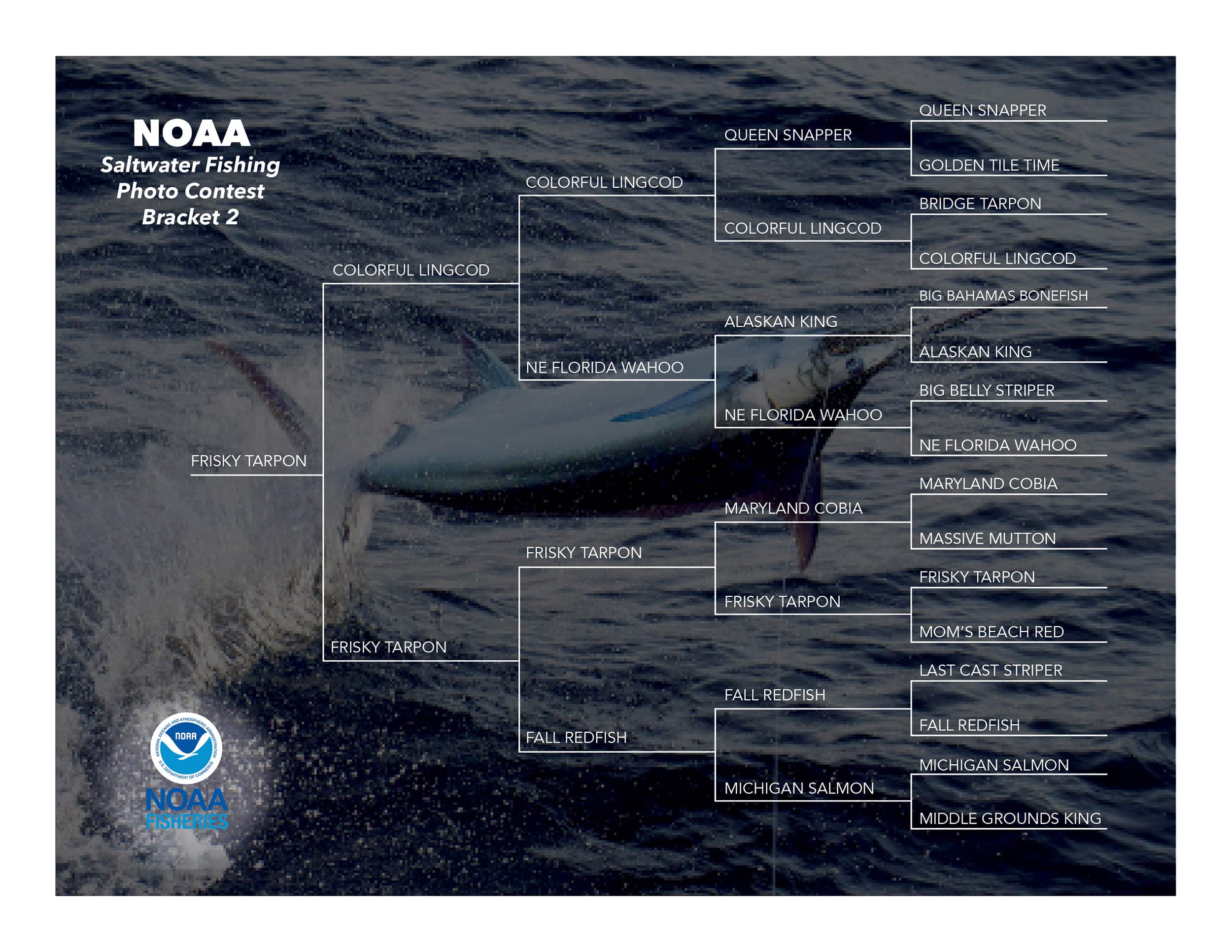 NOAA Contest Bracket 2 Final 4