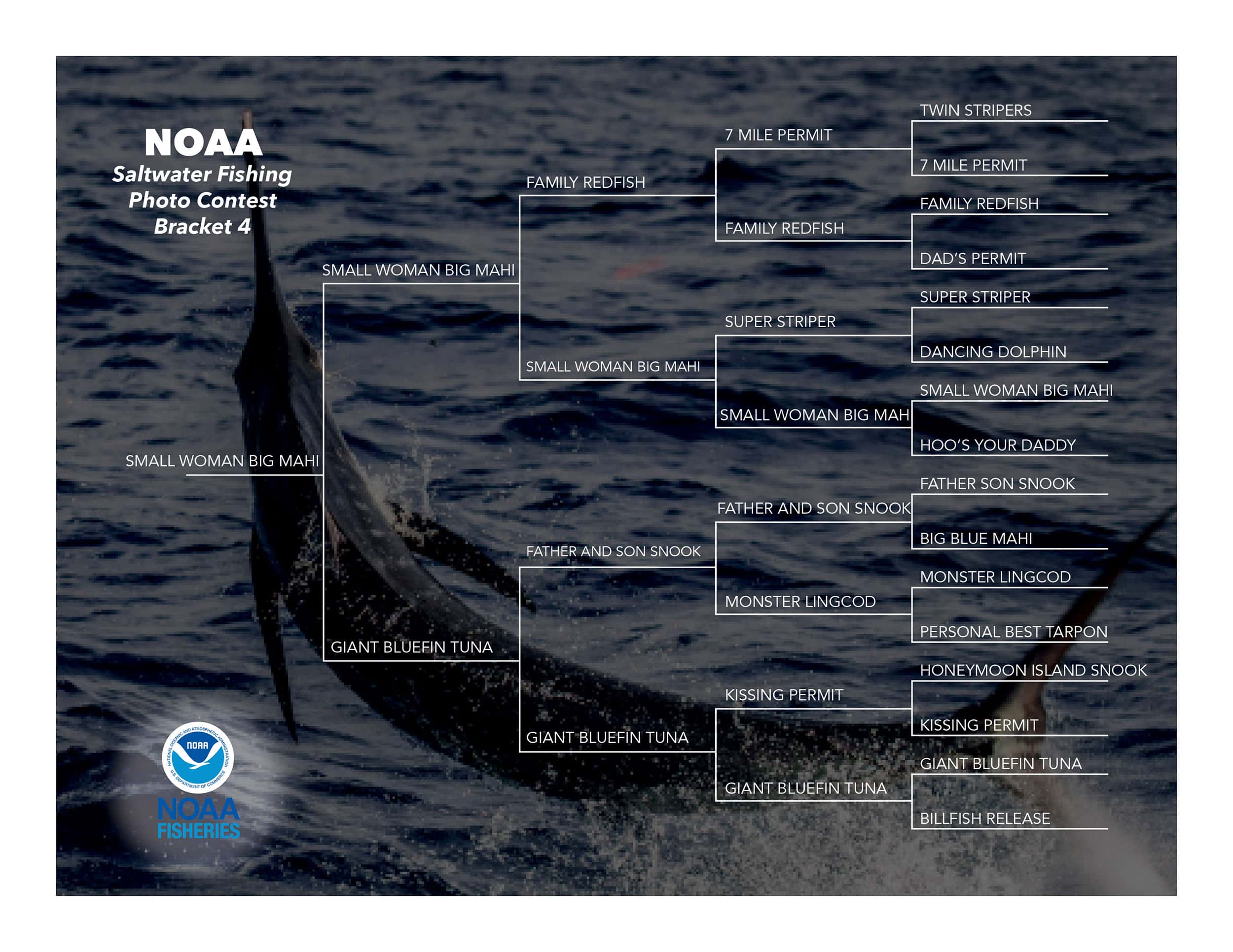 NOAA Contest Bracket 4 Final 4