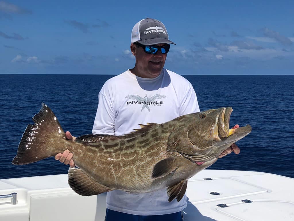 Large grouper on a boat
