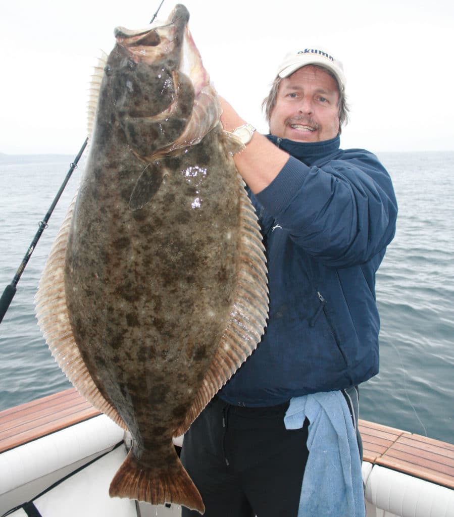 Halibut caught trolling