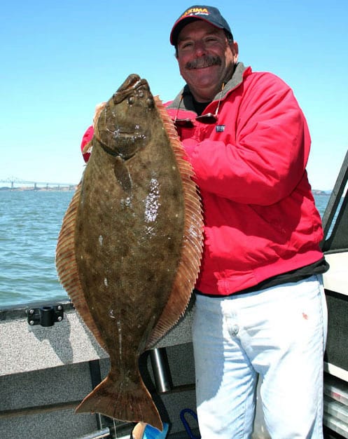 Nice sized halibut