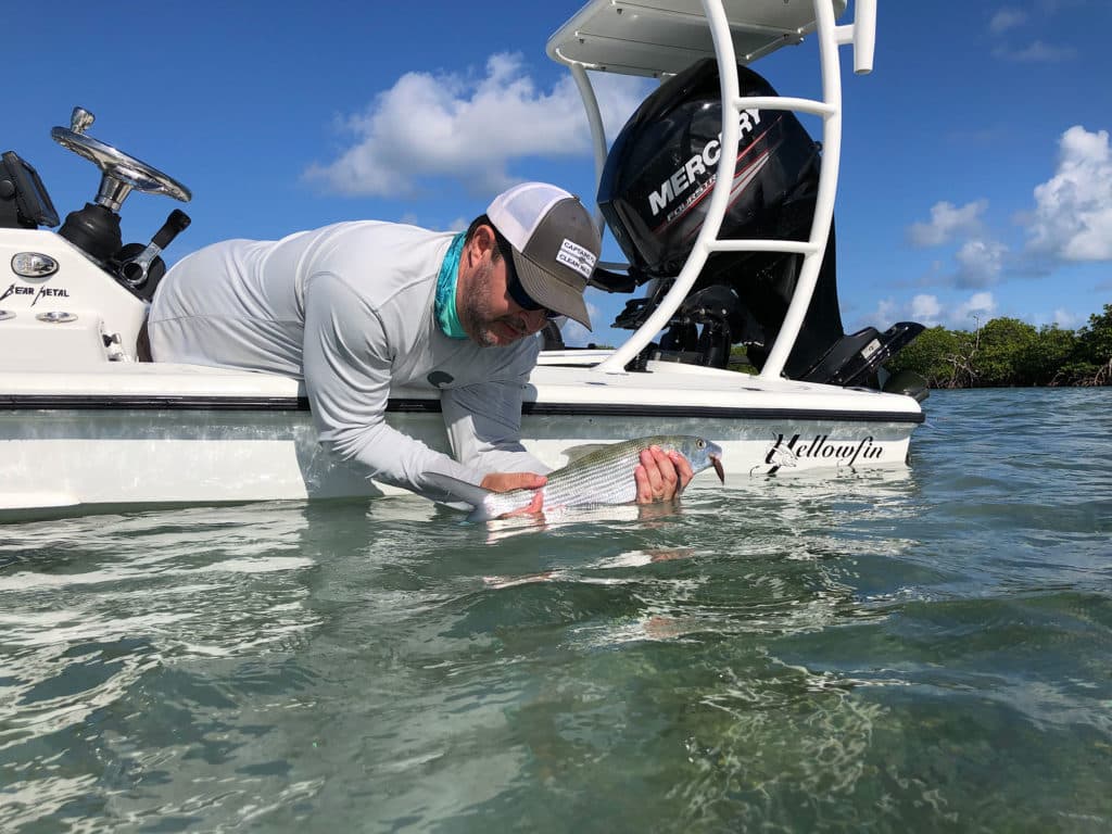 Bonefish on the flats