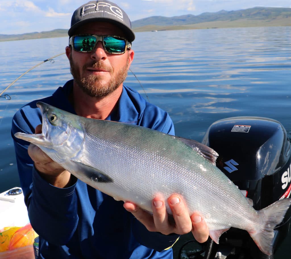 How to Catch Kokanee Salmon