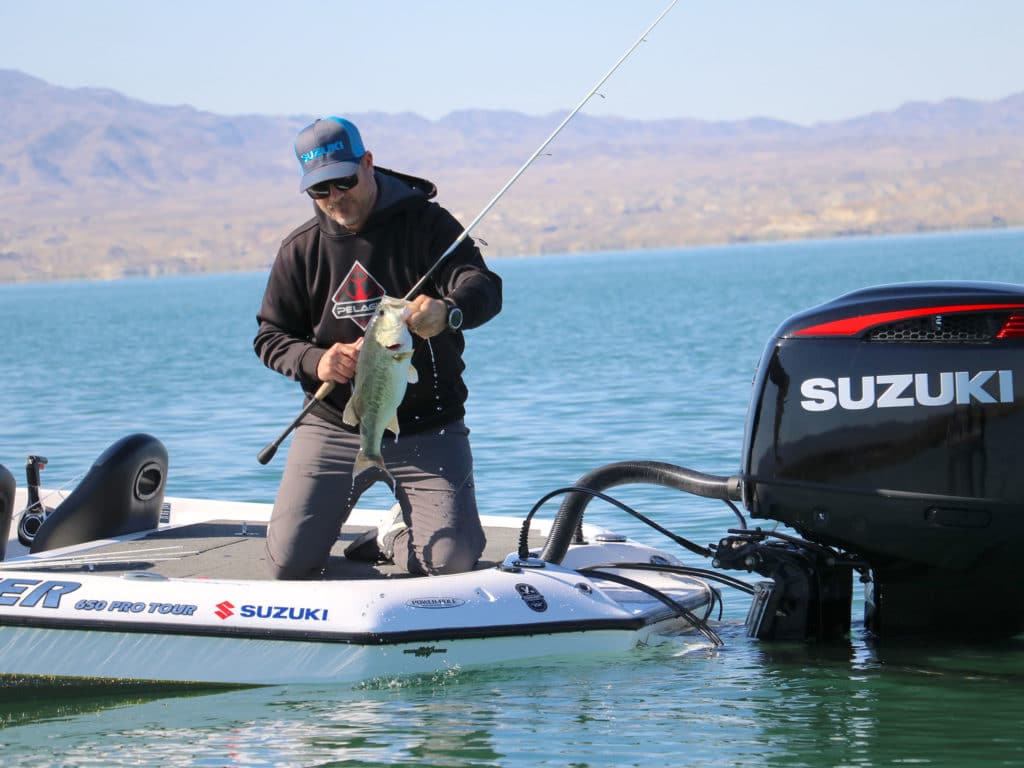 Largemouth bass on Lake Havasu