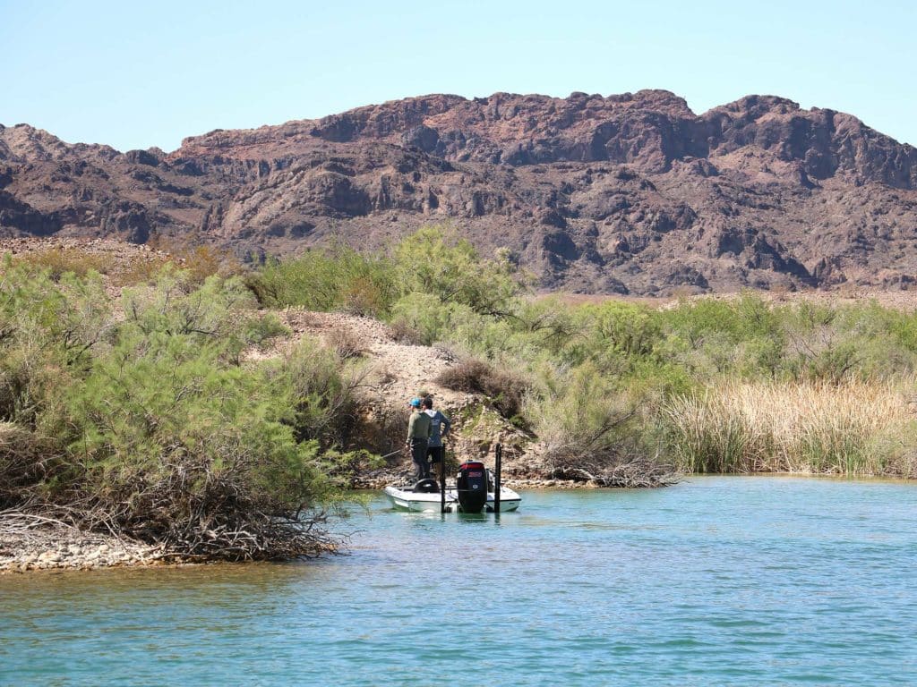Head to the Desert for Smallmouth Bass