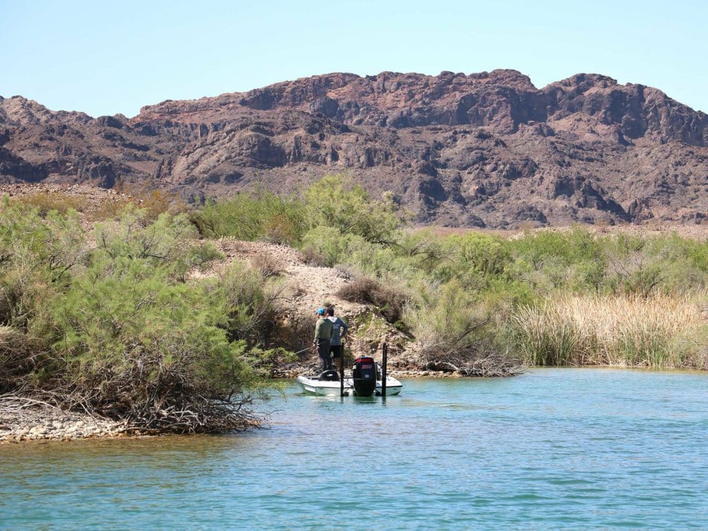 Boat along shore of Lake Havasu